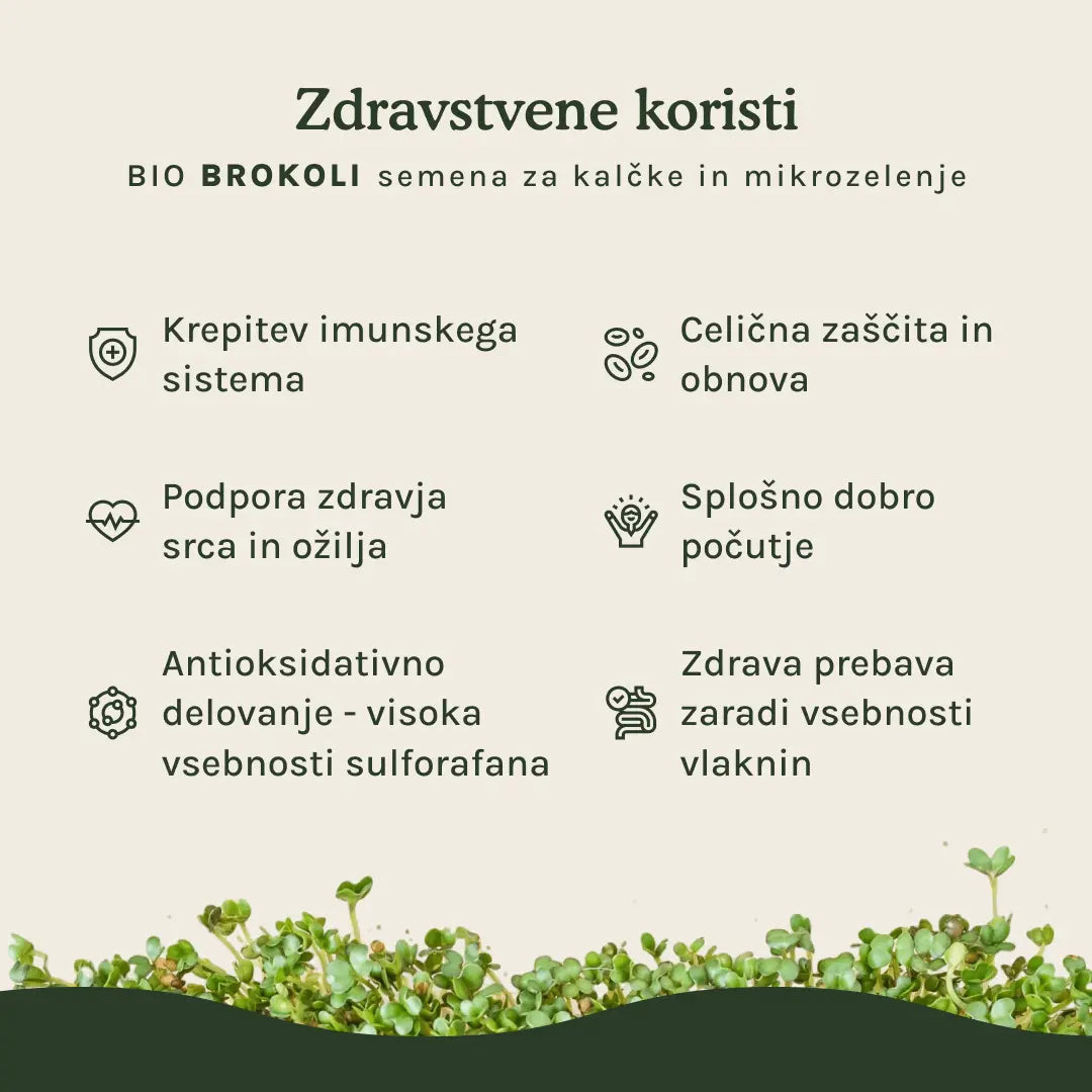 Brokoli semena za kalčke in mikrozelenje - BIO (100g) Grow