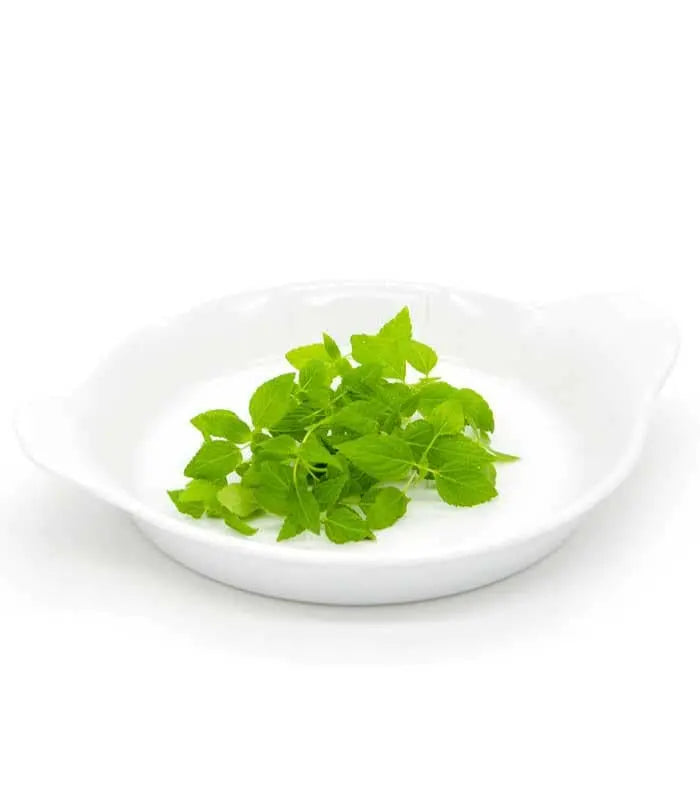 Chia-mikrozelenje