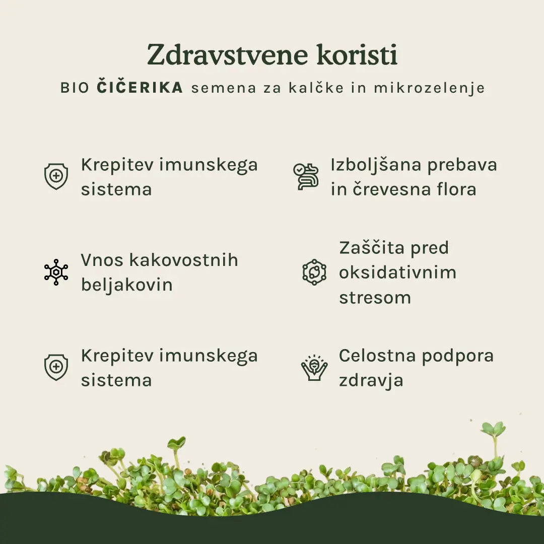 Čičerika semena za kalčke in mikrozelenje - BIO (100g) steklen