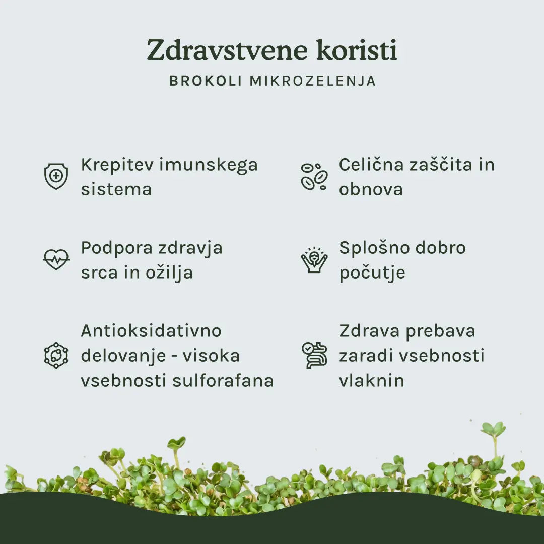 HitroZelen Brokoli GreenGina
