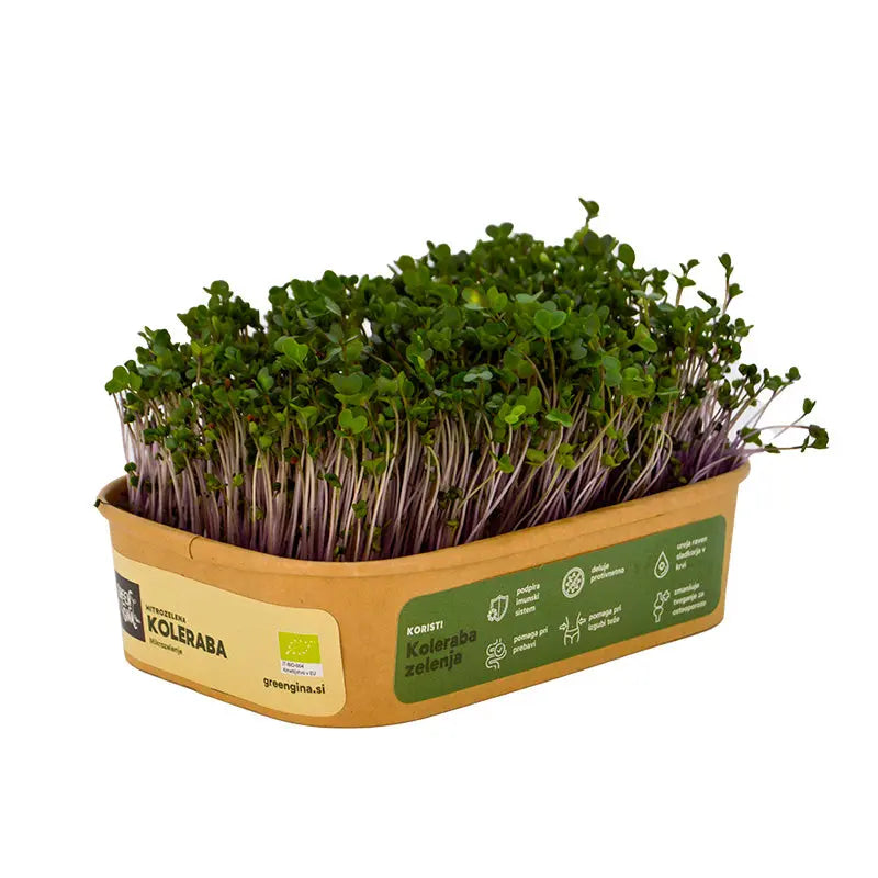 HitroZelena Koleraba GreenGina