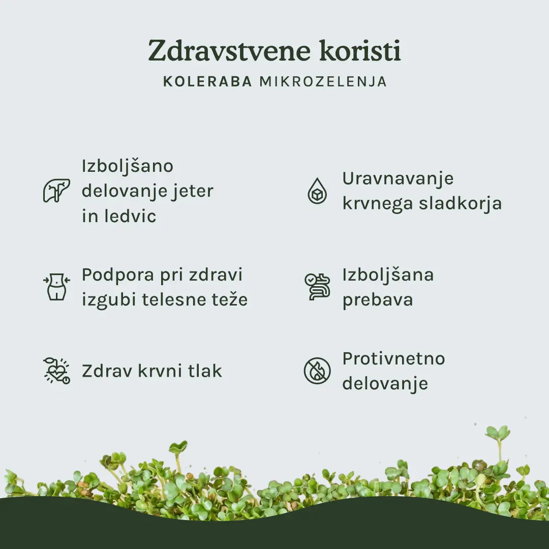 HitroZelena Koleraba GreenGina