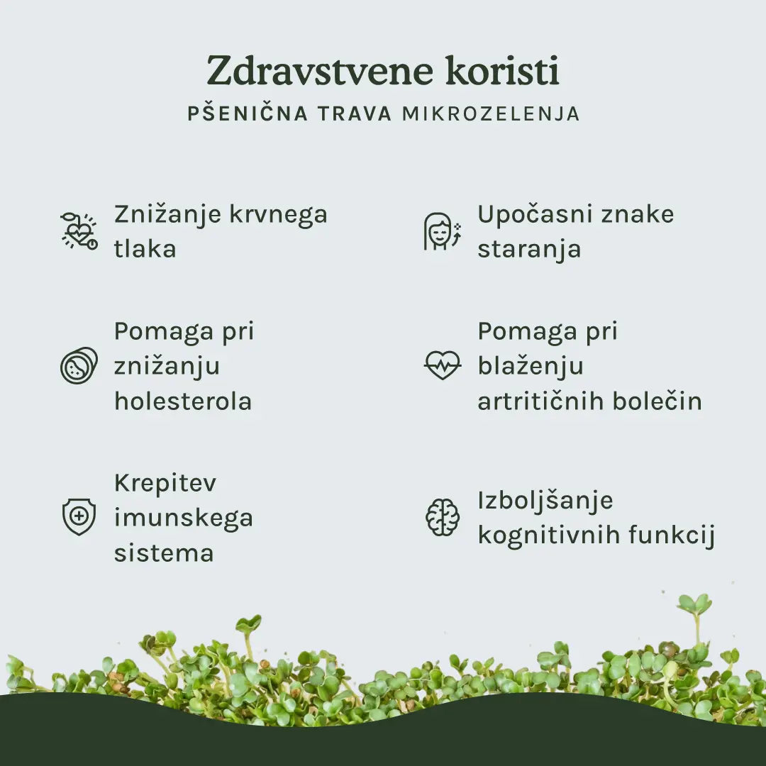 HitroZelena Pšenična trava GreenGina