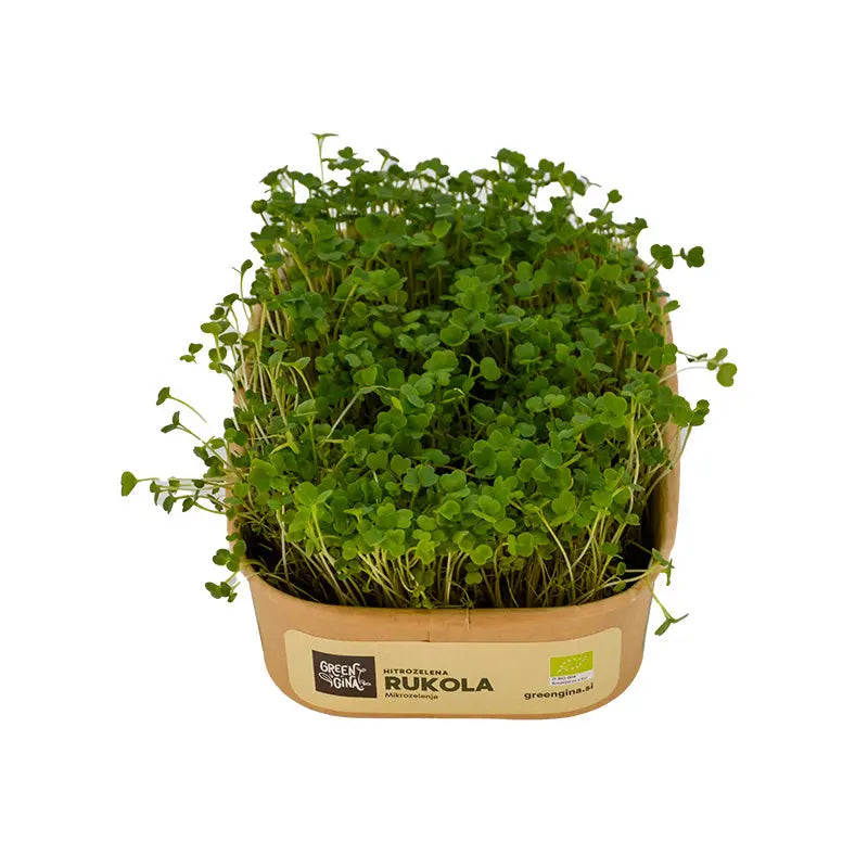 HitroZelena Rukola GreenGina