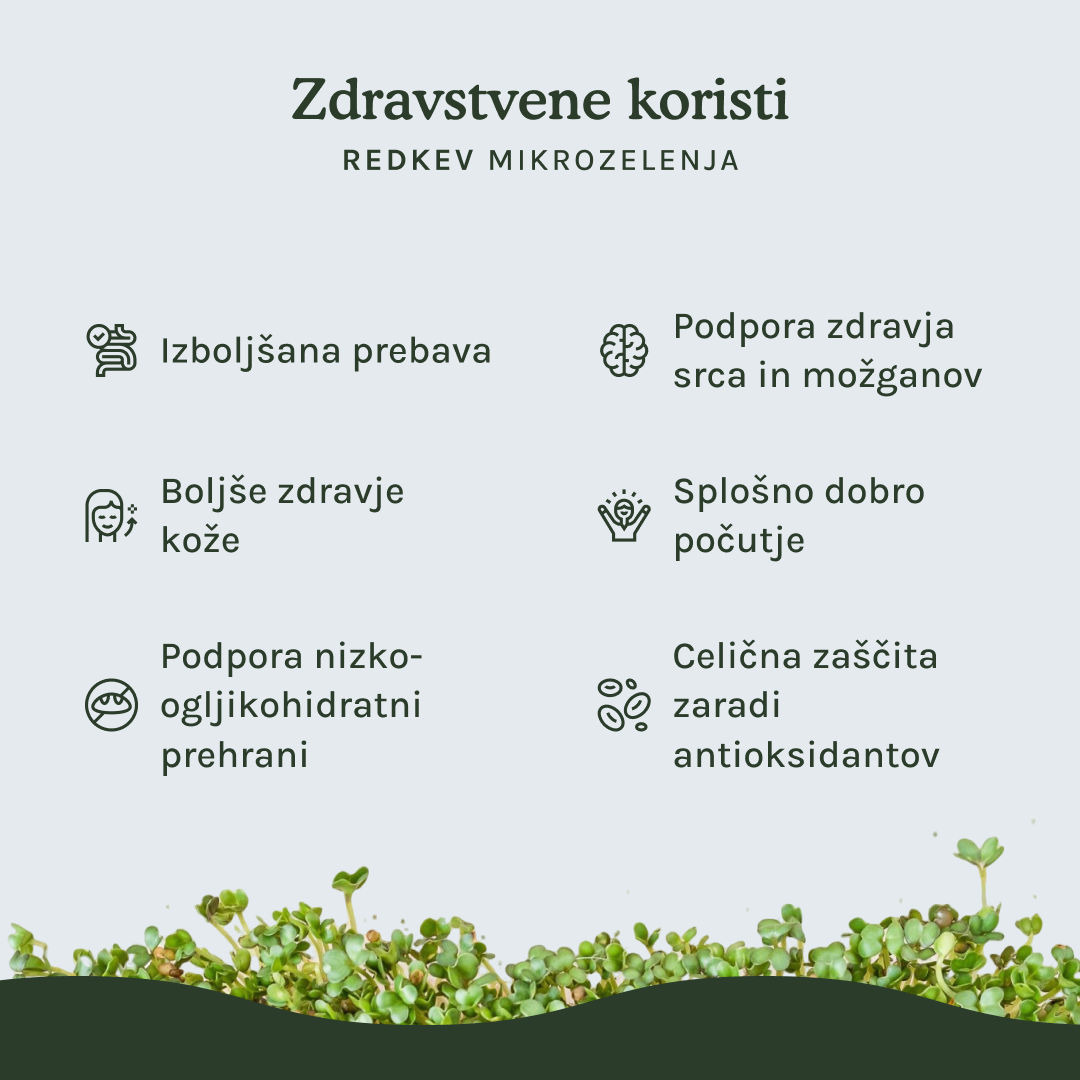 HitroZelena Redkev