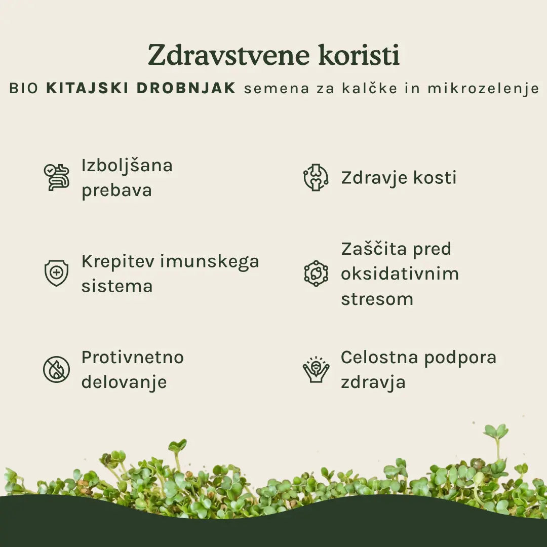 Kitajski drobnjak semena za kalčke in mikrozelenje - BIO (100g) steklen