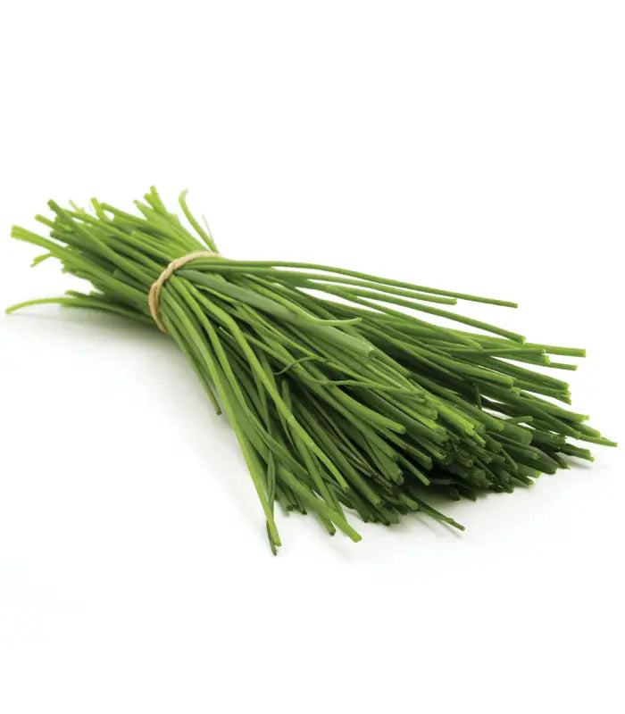 Kitajski-drobnjak-mikrozelenje