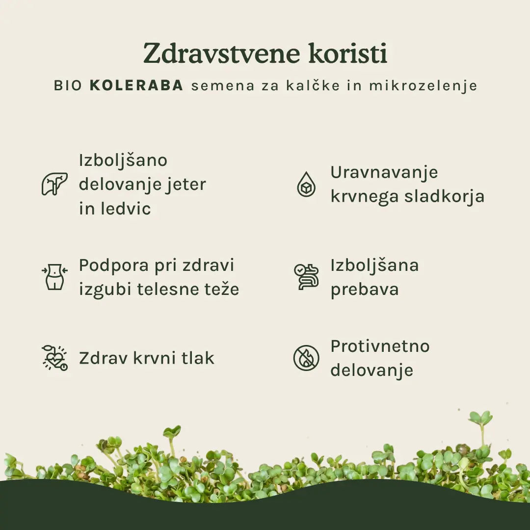 Koleraba semena za kalčke in mikrozelenje - BIO (100g) Grow