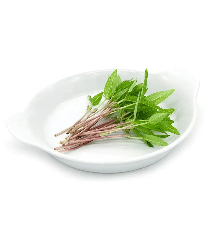 mung-fizol-semena-za-mikrozelenje