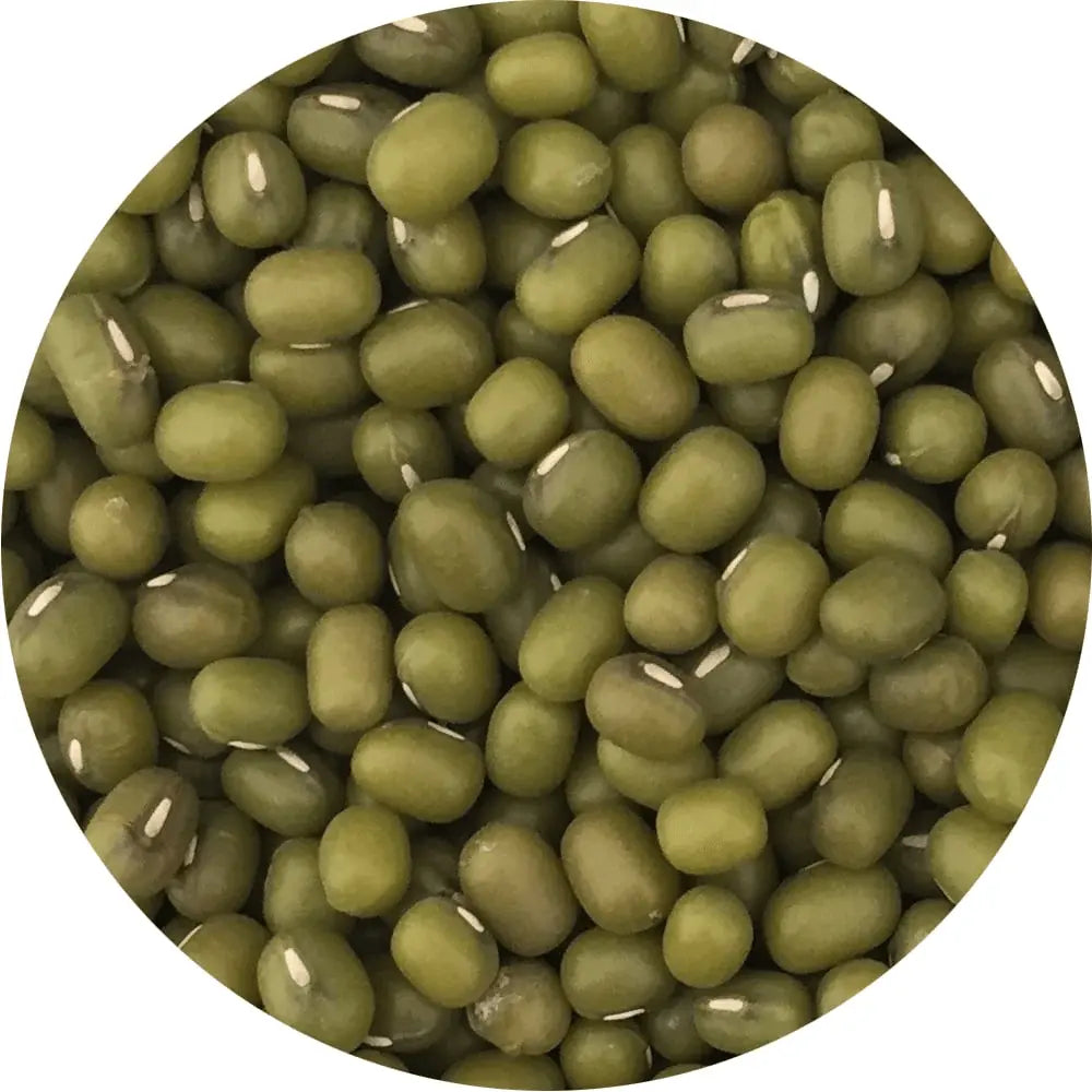 mung-fizol-semena-za-kalcke