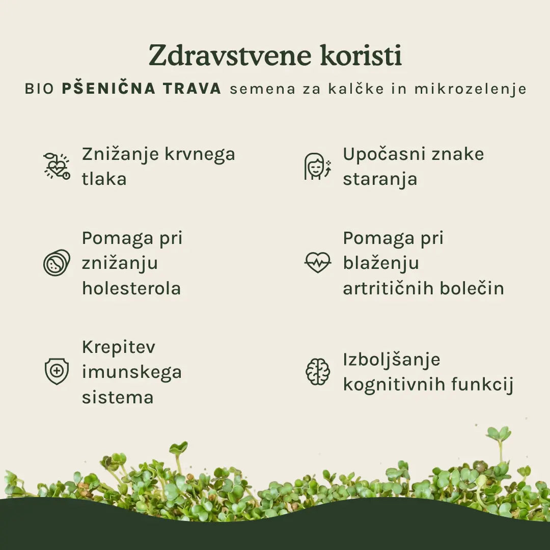 Pšenična trava semena za kalčke in mikrozelenje - BIO (100g) steklen