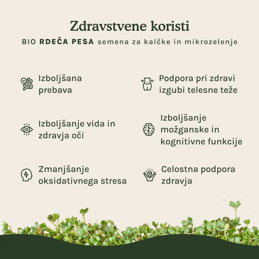 Rdeča pesa semena za kalčke in mikrozelenje - BIO (100g) Grow