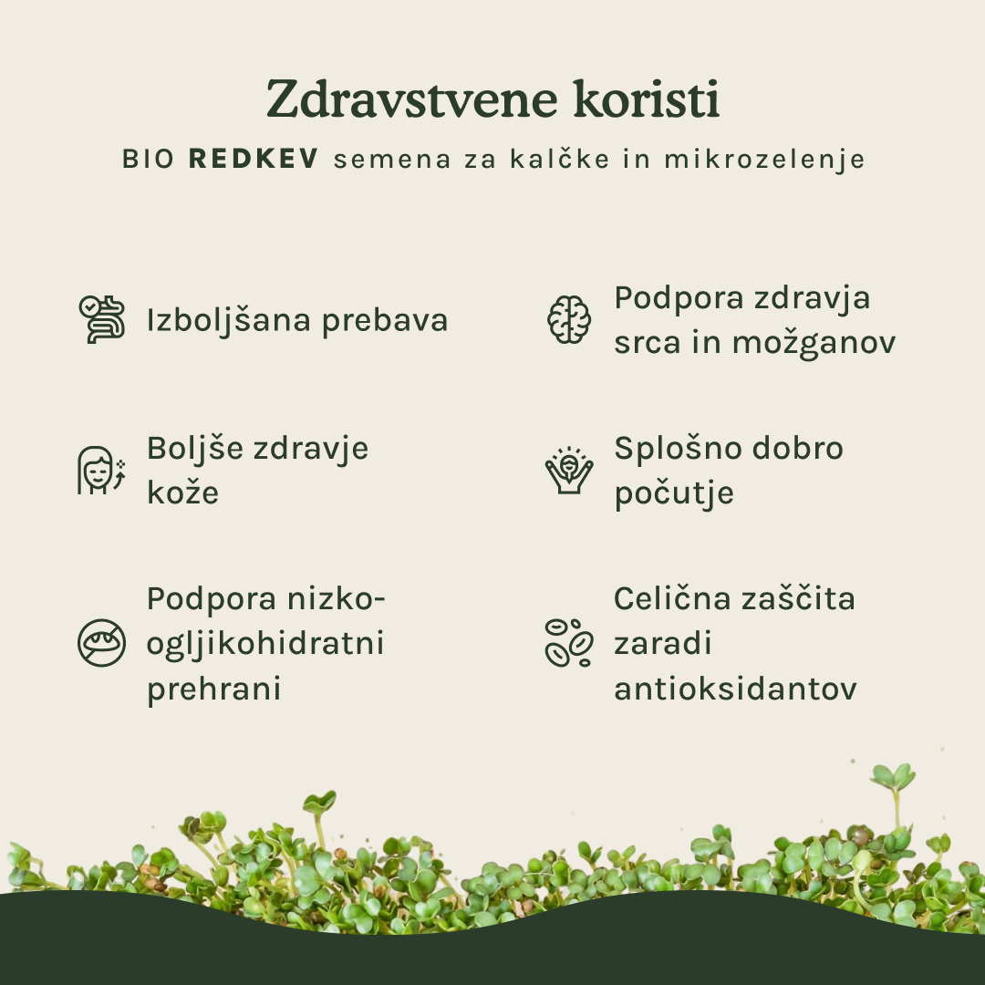 Redkev semena za kalčke in mikrozelenje - BIO (100g)
