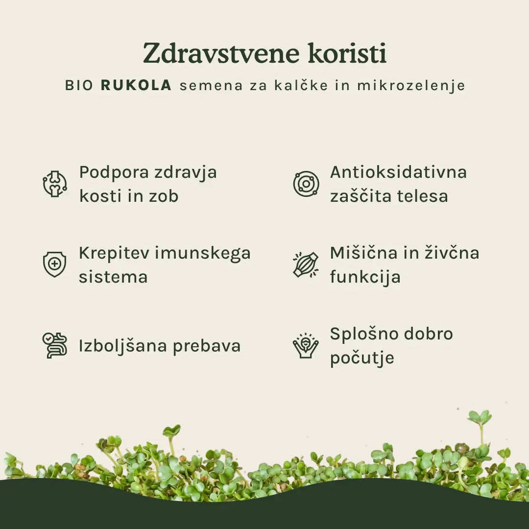 Rukola semena za kalčke in mikrozelenje - BIO (100g) Grow
