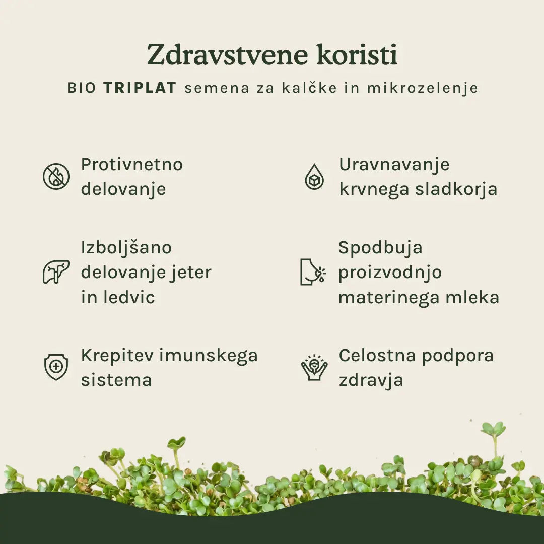 Triplat (grško seno) semena za kalčke in mikrozelenje - BIO (100g) steklen