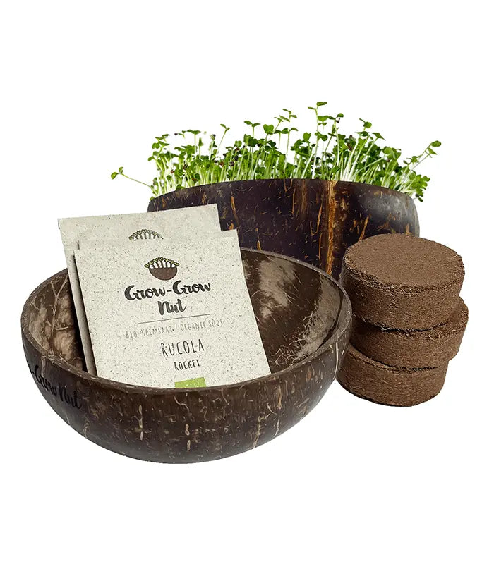 zacetni-paket-za-rast-kalckov
