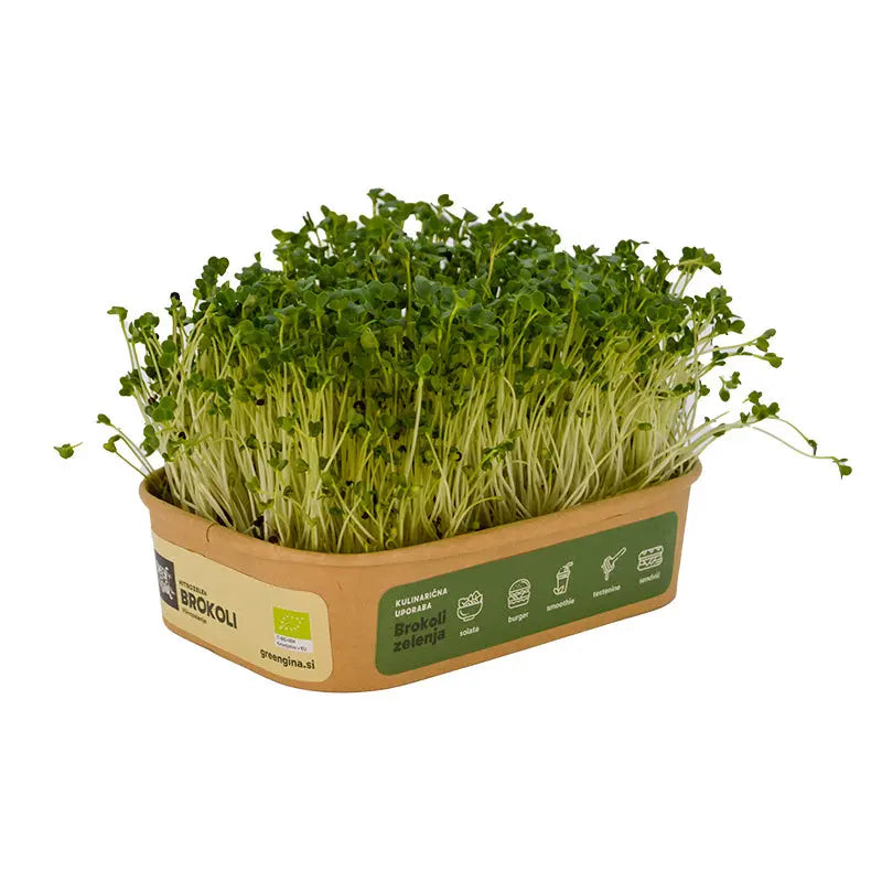 HitroZelen Brokoli GreenGina