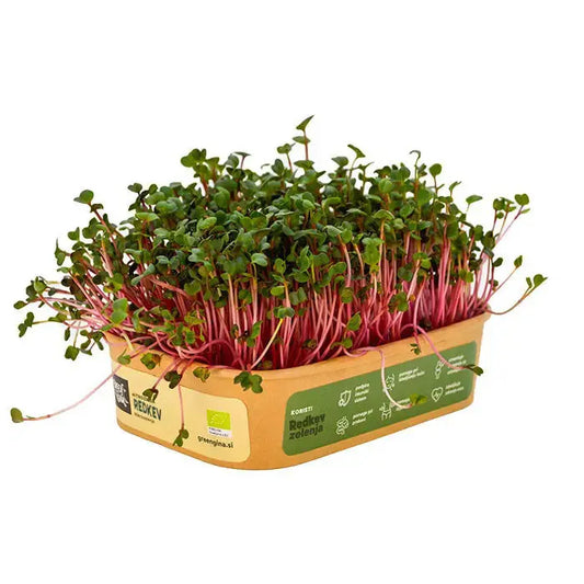 HitroZelena Redkev GreenGina