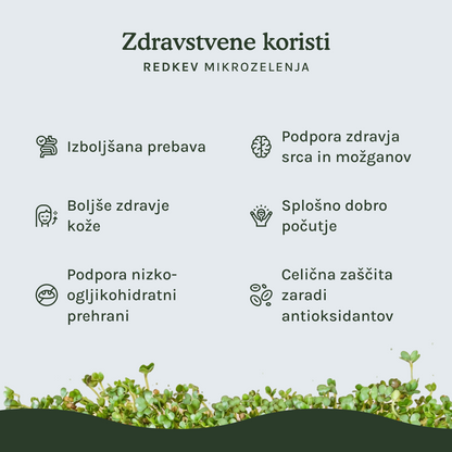 HitroZelena Redkev