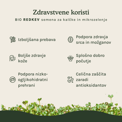 Redkev semena za kalčke in mikrozelenje - BIO (100g)