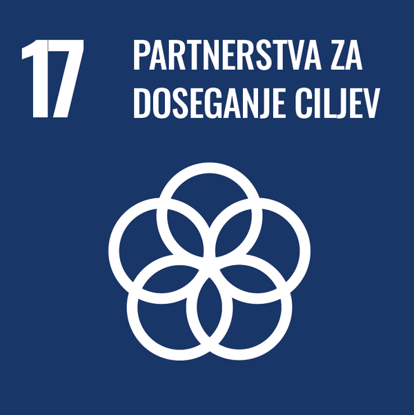 Partnerstva za doseganje ciljev